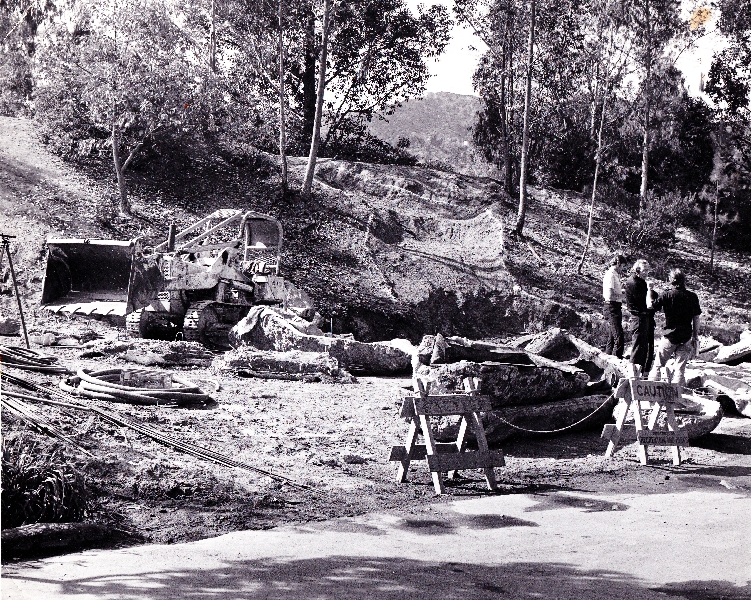 Los Angeles Zoo Flamingo Exhibit