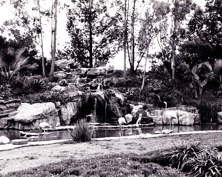 Los Angeles Zoo Flamingo Exhibit