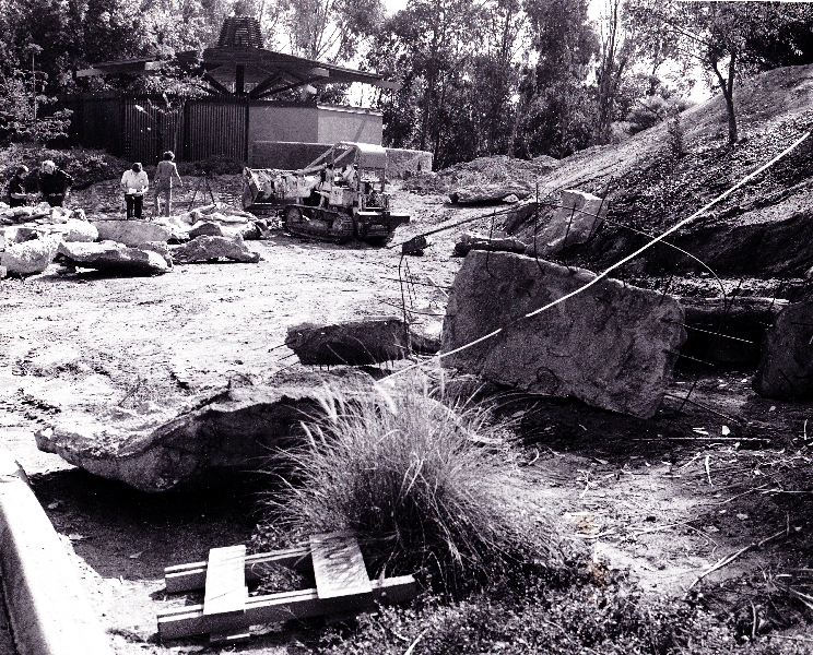 Los Angeles Zoo Flamingo Exhibit