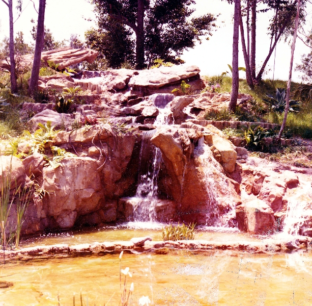 Los Angeles Zoo Flamingo Exhibit