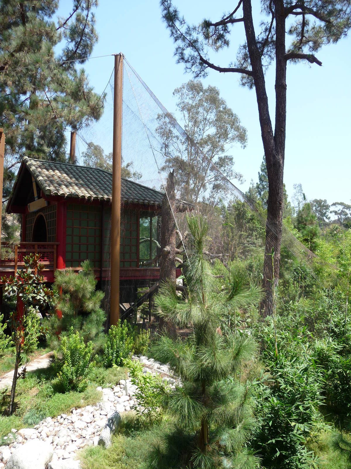 Los Angeles Zoo - Golden Monkey Exhibit