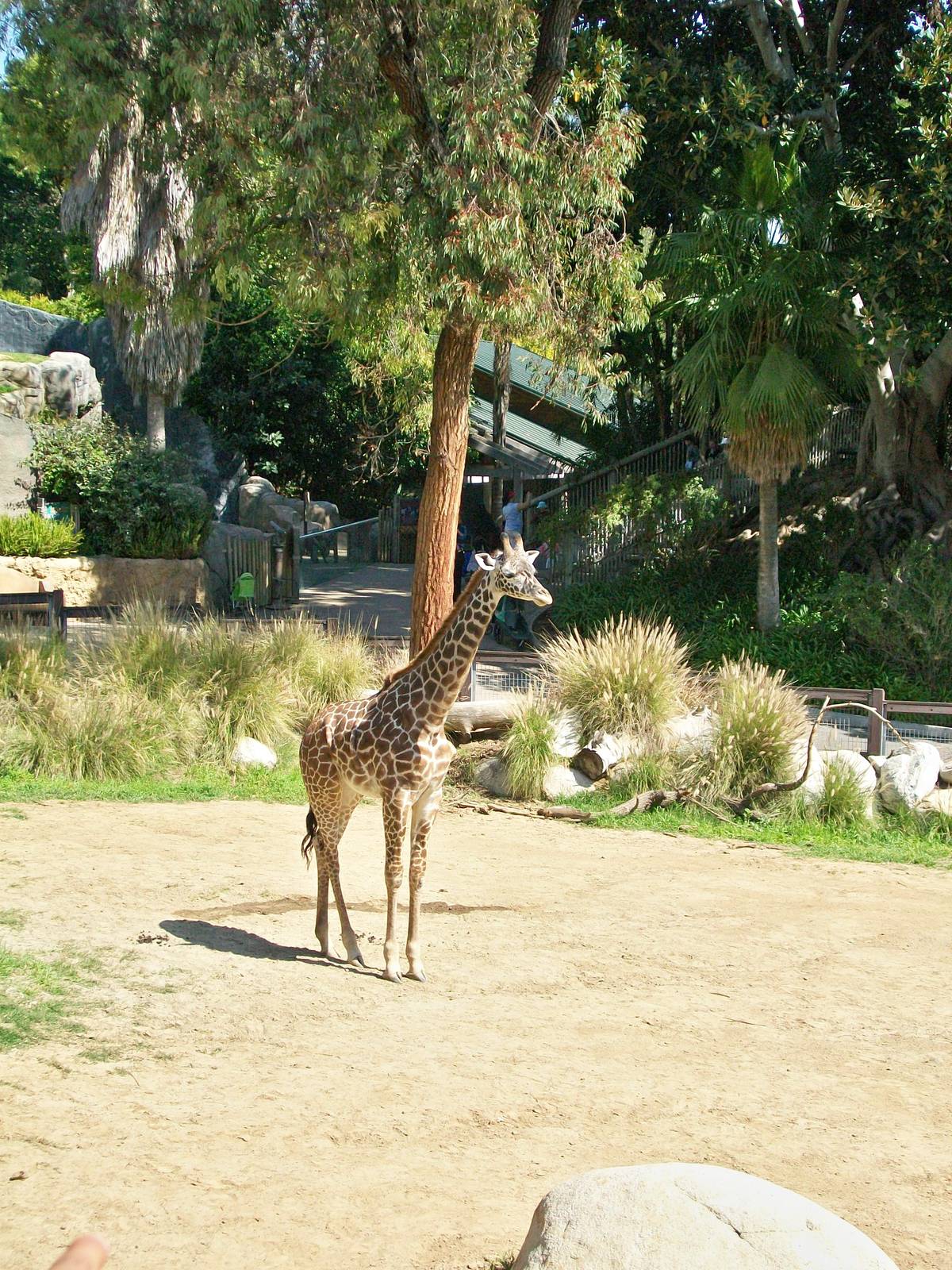 Los Angeles Zoo/Spring 2009