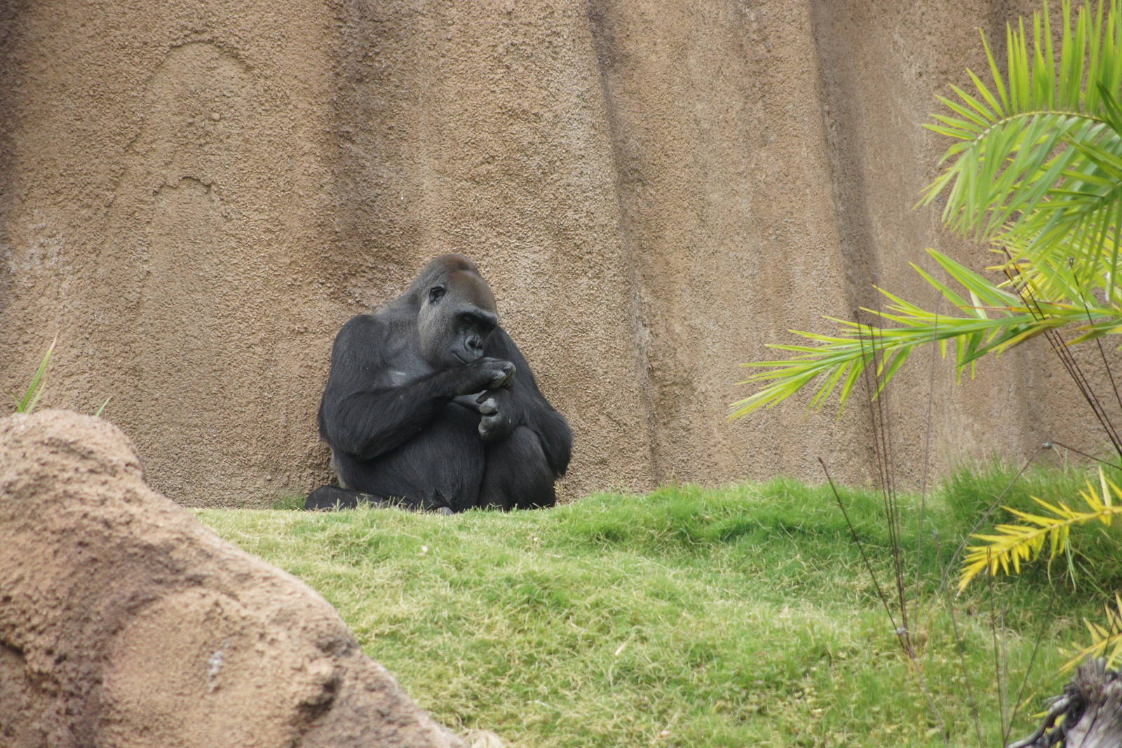 Los Angeles Zoo