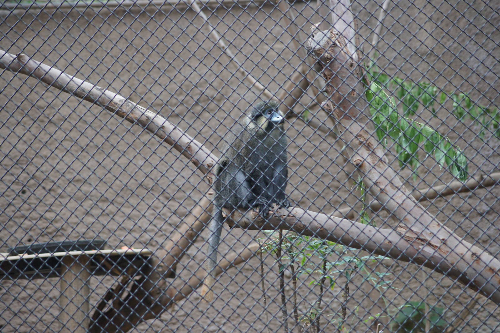 Los Angeles Zoo