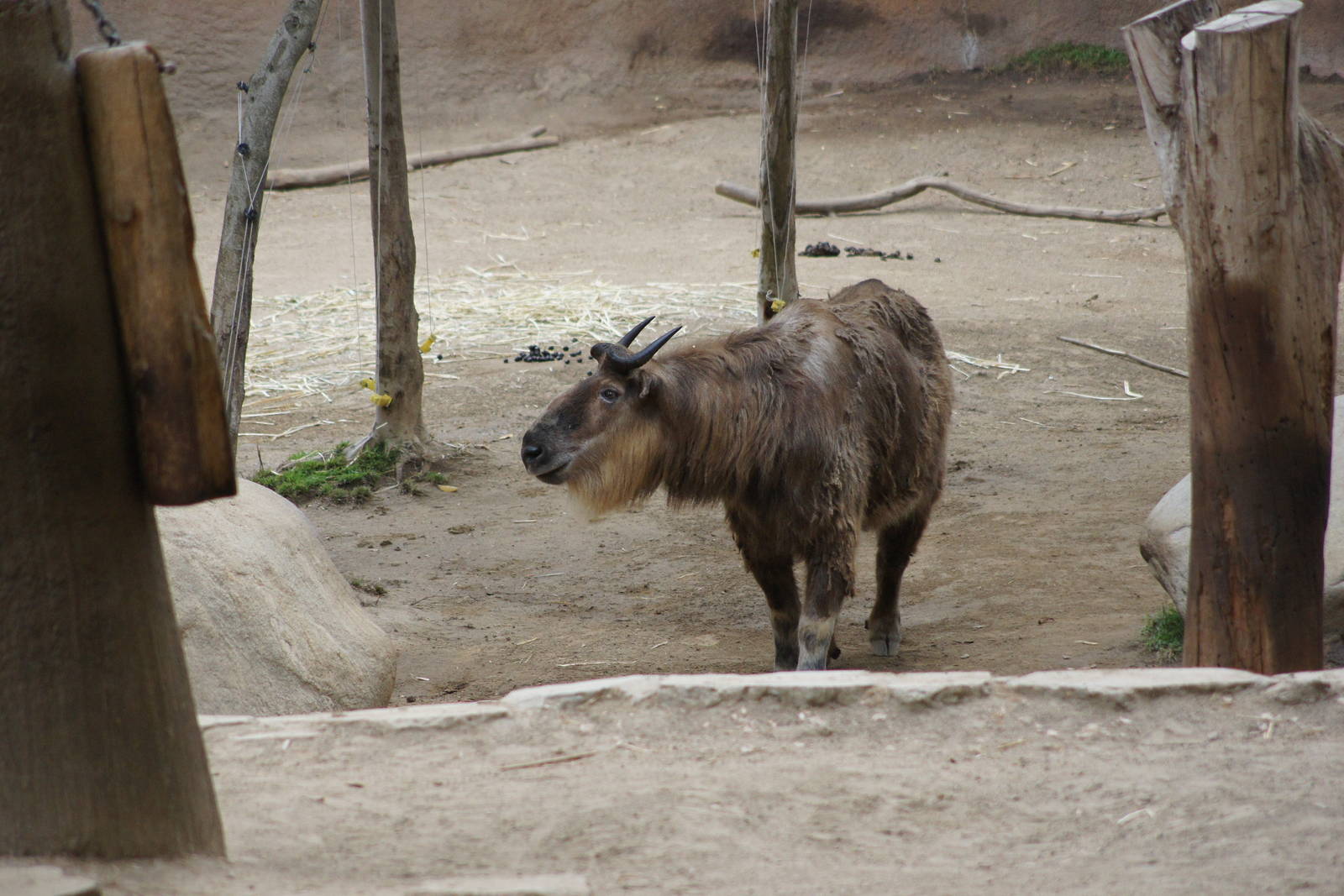 Los Angeles Zoo