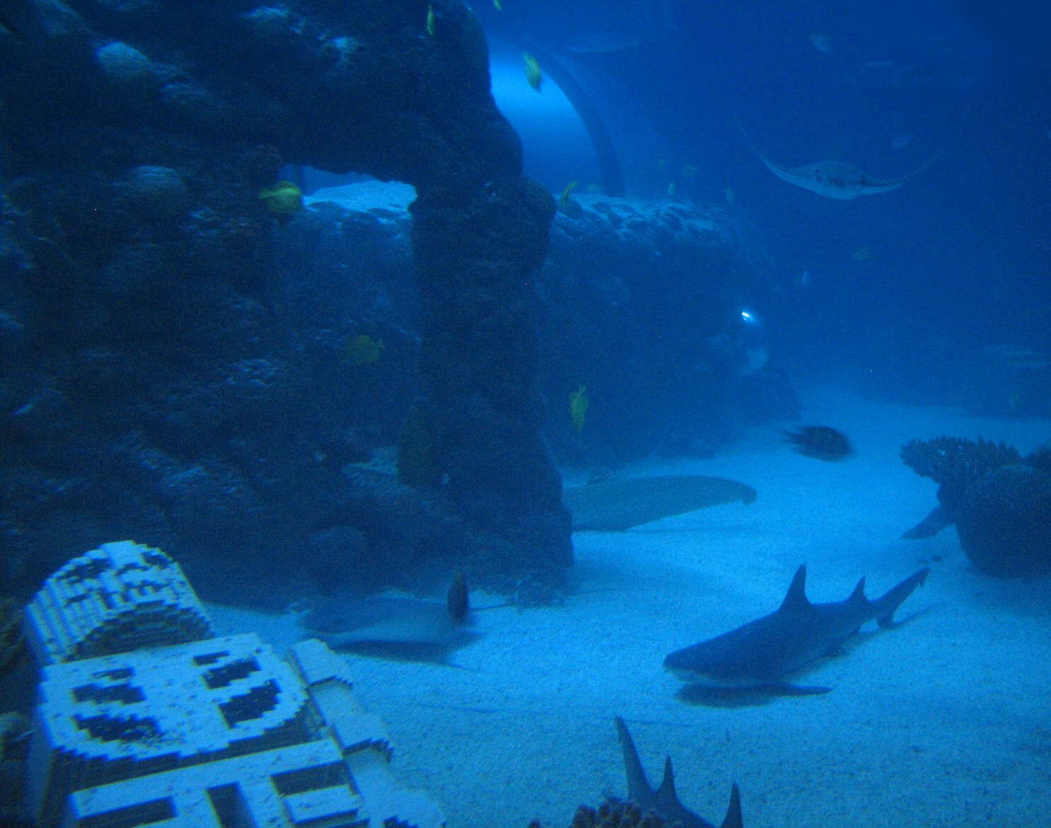 Lost City of Atlantis - Interior