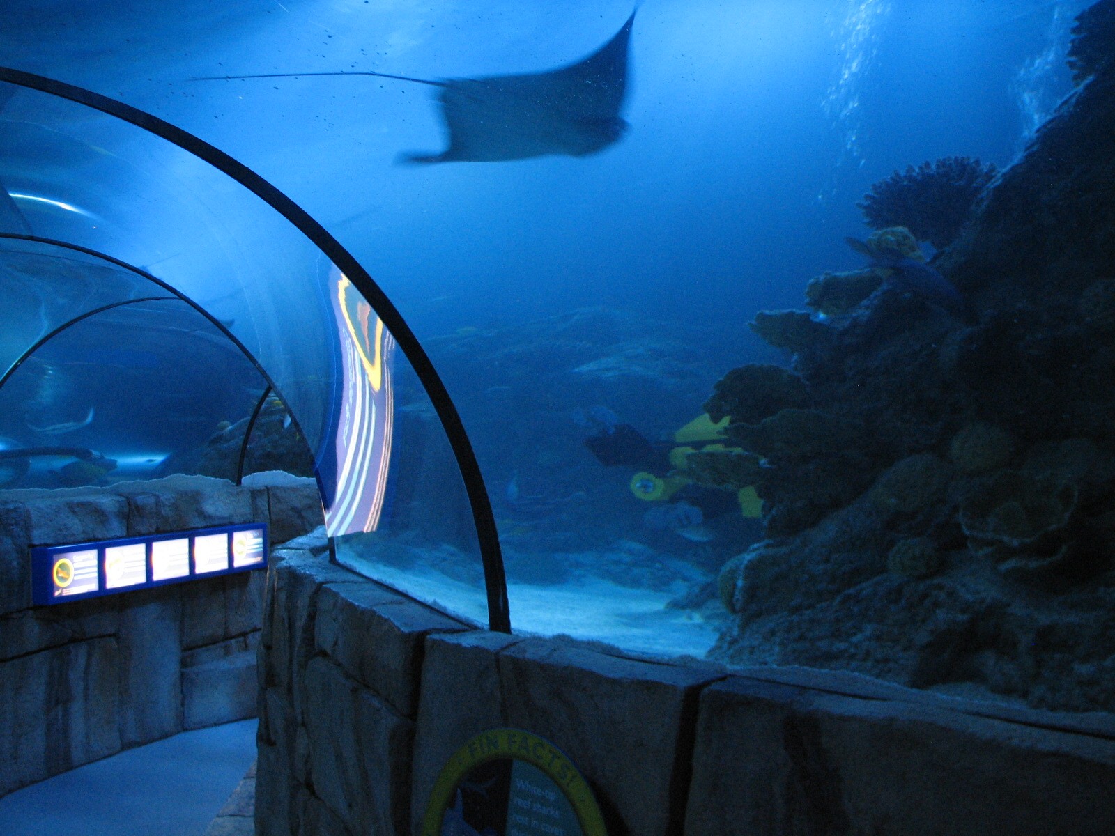 Lost City of Atlantis - Tunnel