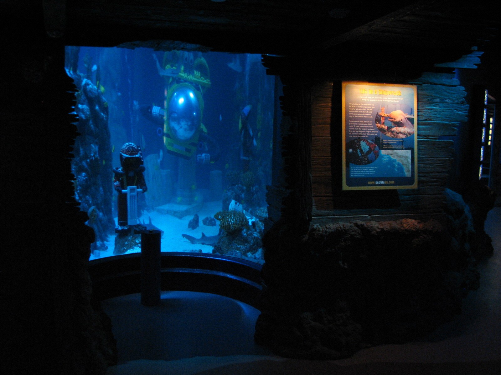 Lost City of Atlantis - View from Shipwreck