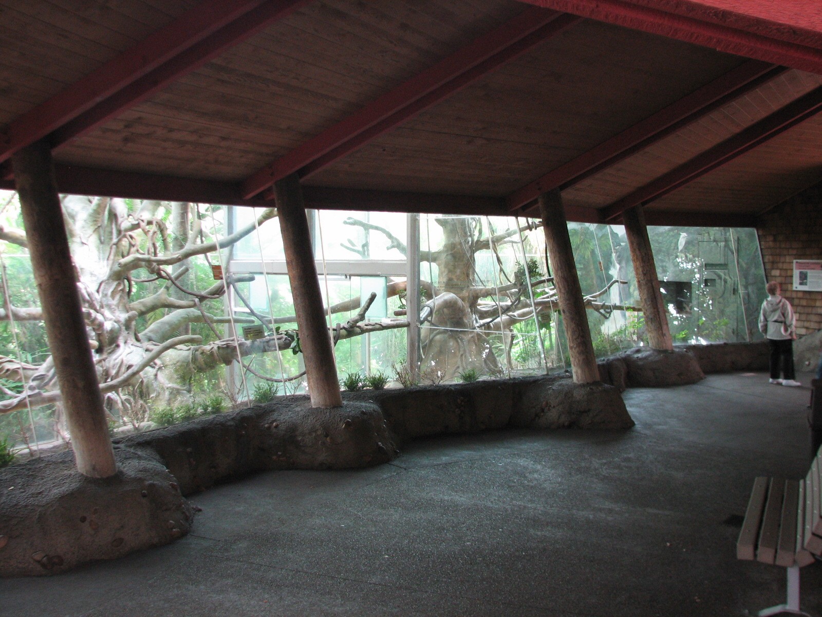 Lost Forest - Absolutely Apes - Francois Langur House Interior