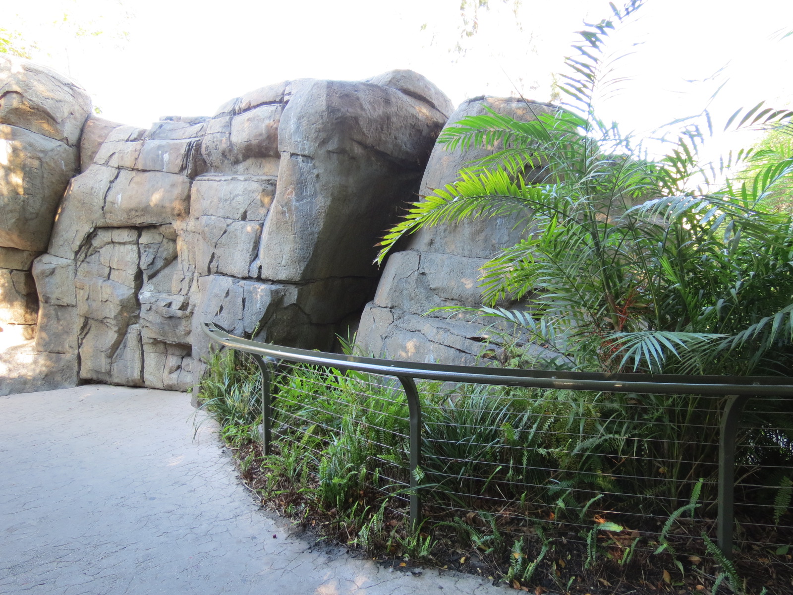 Lost Forest - Absolutely Apes - Orangutan and Siamang Exhibit