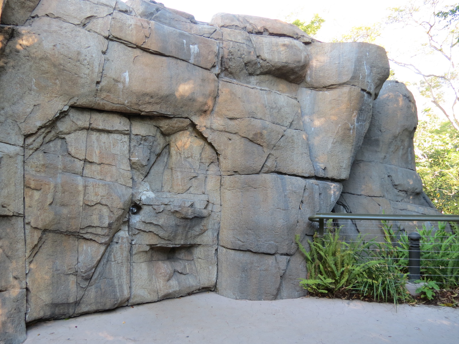 Lost Forest - Absolutely Apes - Orangutan and Siamang Exhibit