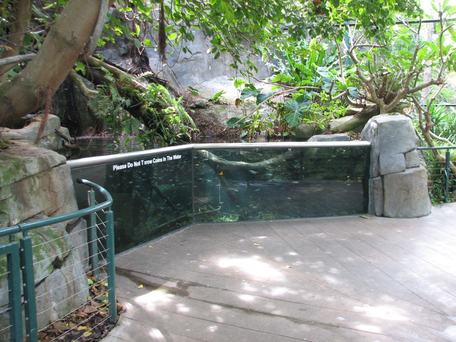 Lost Forest - Absolutely Apes - Owens Aviary