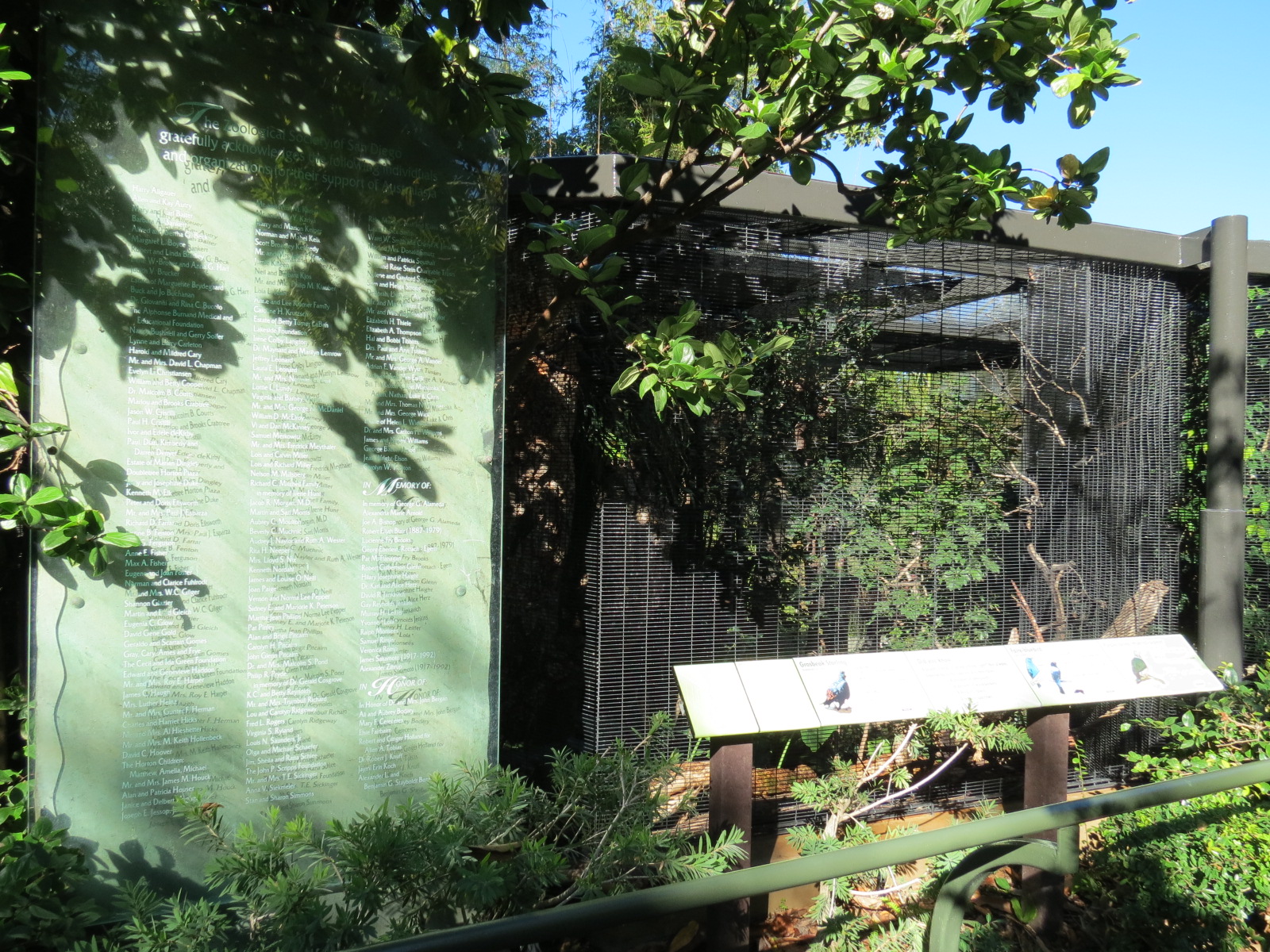 Lost Forest - Birds of Australasia - Grosbeak Starling and Others Exhibit