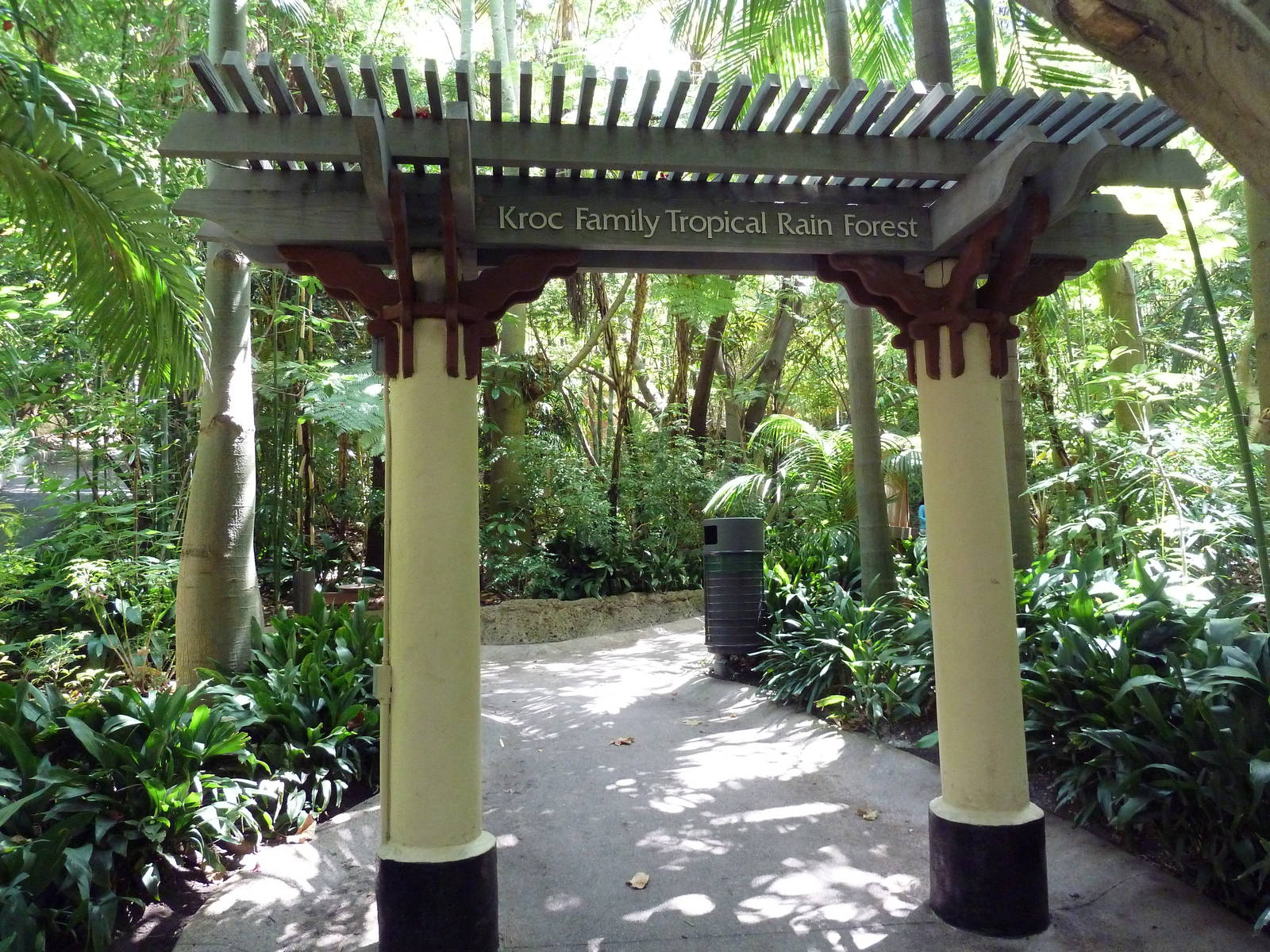 Lost Forest Entrance