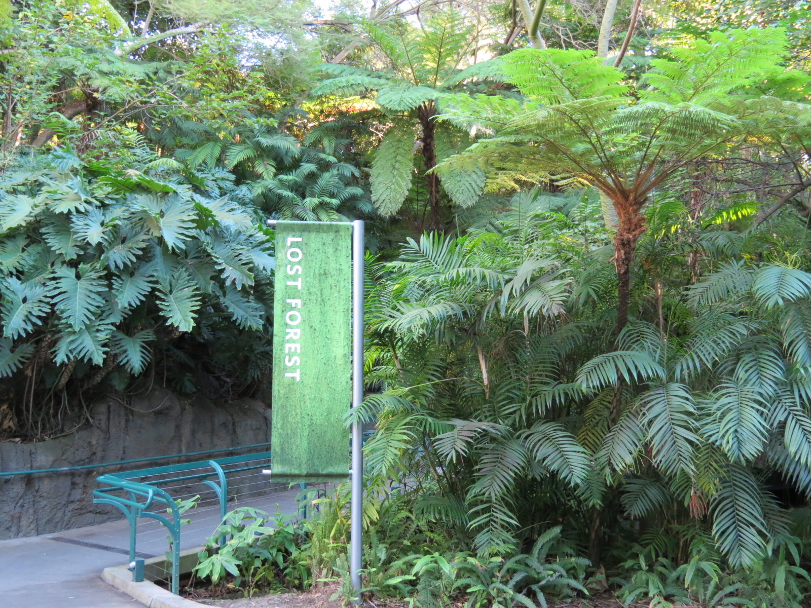 Lost Forest - Fern Canyon Trail