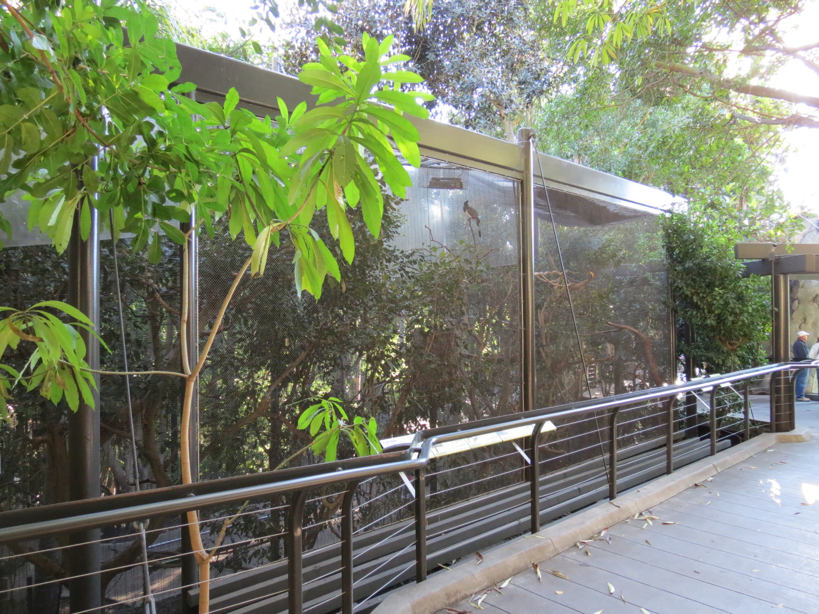 Lost Forest - Gorilla Tropics - 2 Bird Exhibits