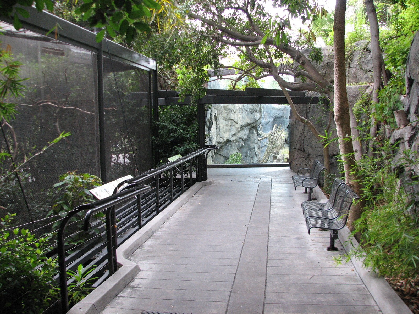 Lost Forest - Gorilla Tropics - Aviary and Path