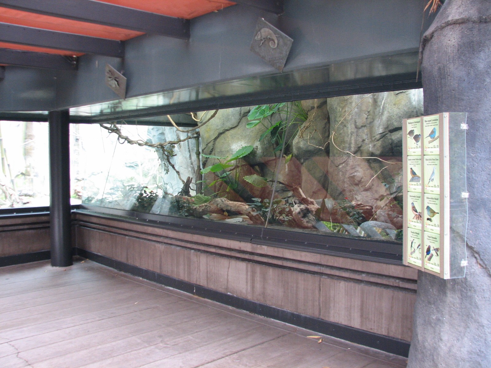 Lost Forest - Gorilla Tropics - Aviary