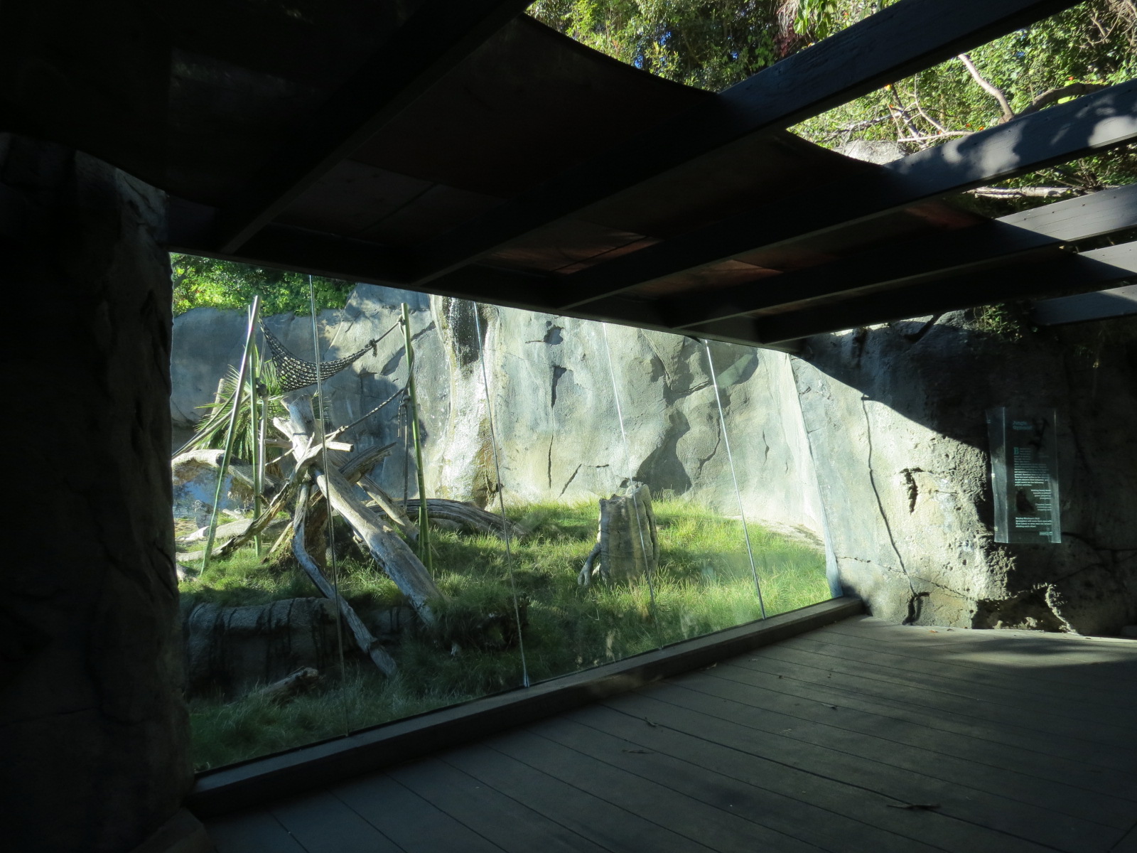 Lost Forest - Gorilla Tropics - Bonobo Exhibit