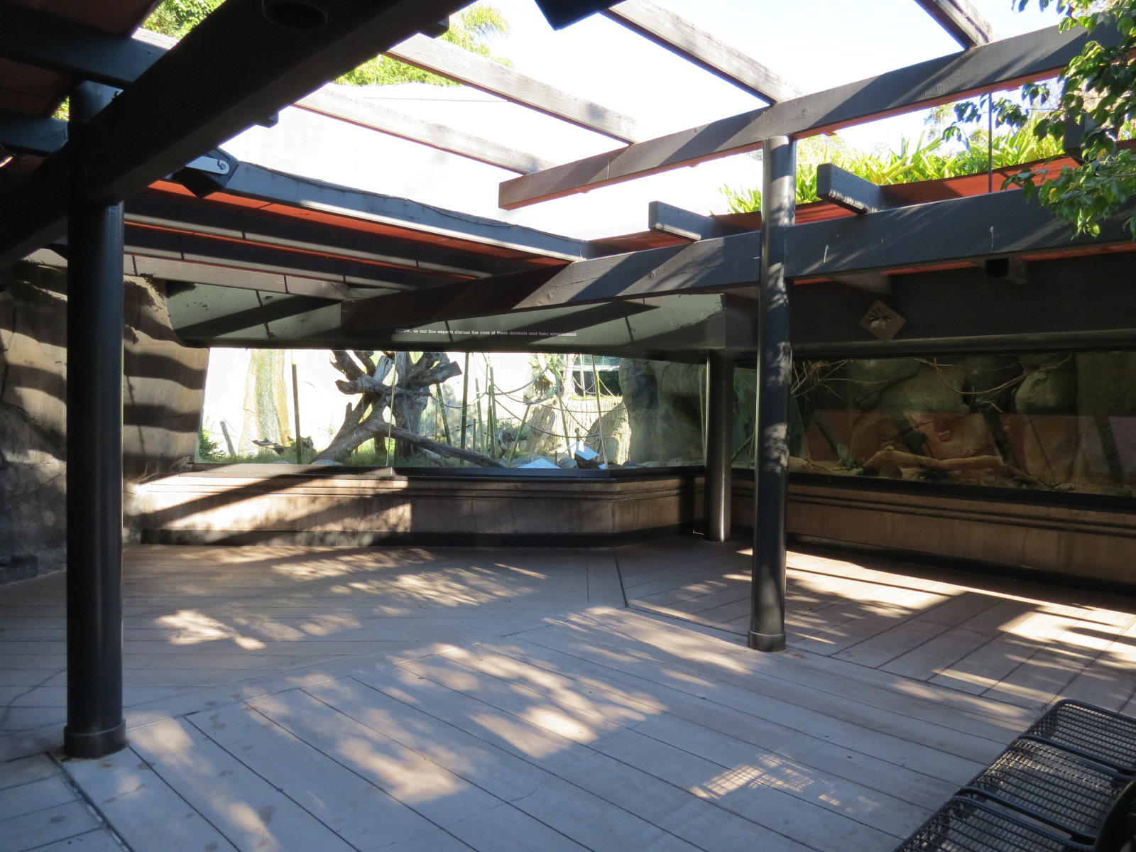 Lost Forest - Gorilla Tropics - Bonobo Exhibit