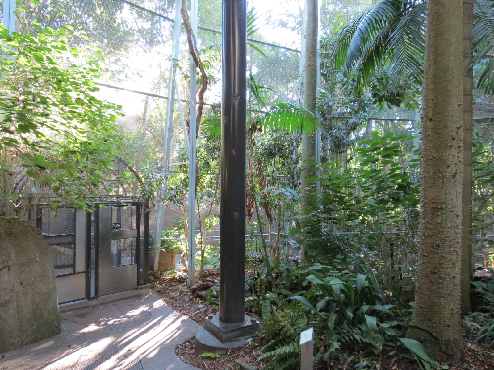 Lost Forest - Gorilla Tropics - Scripps Aviary