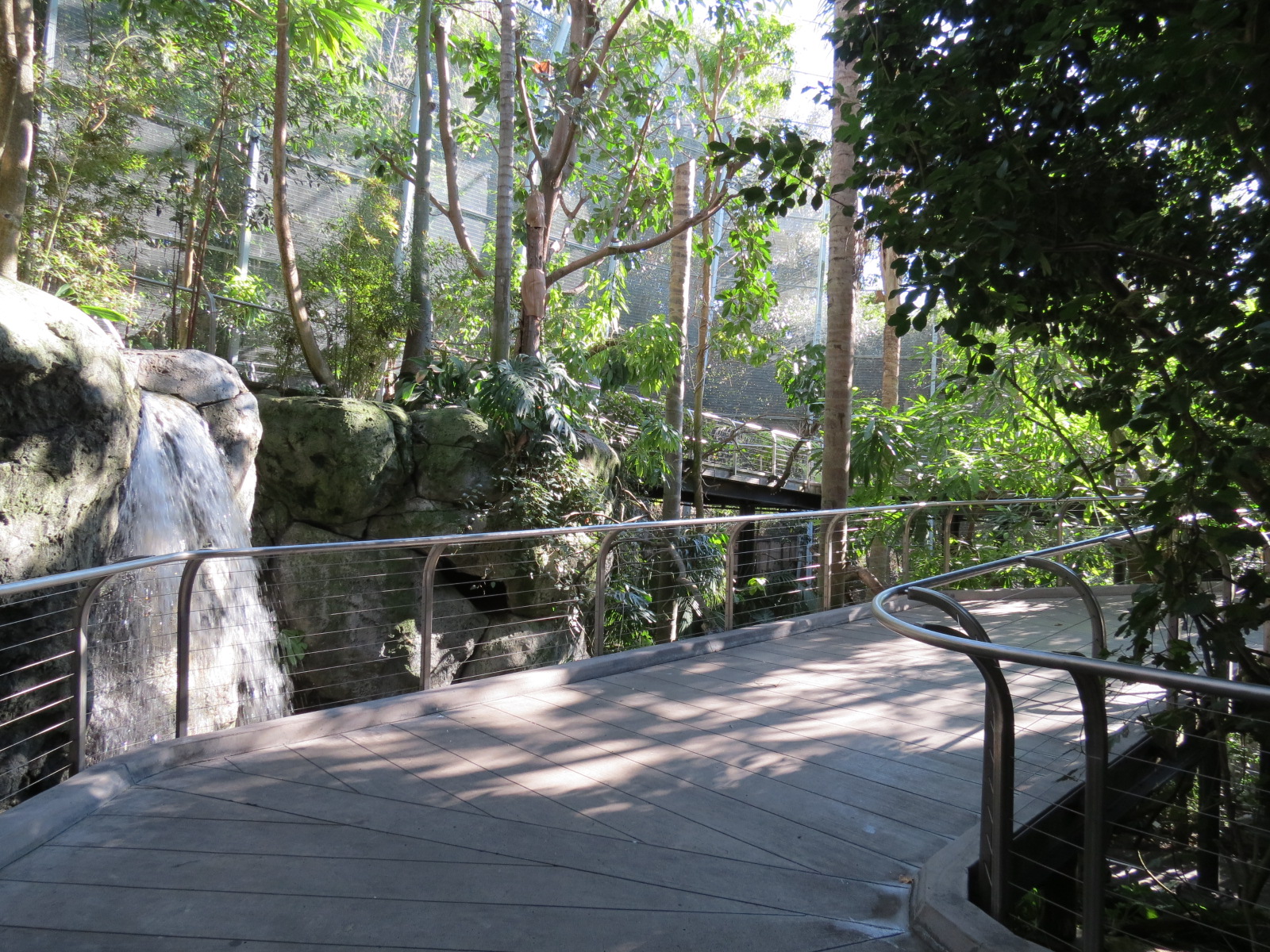 Lost Forest - Gorilla Tropics - Scripps Aviary
