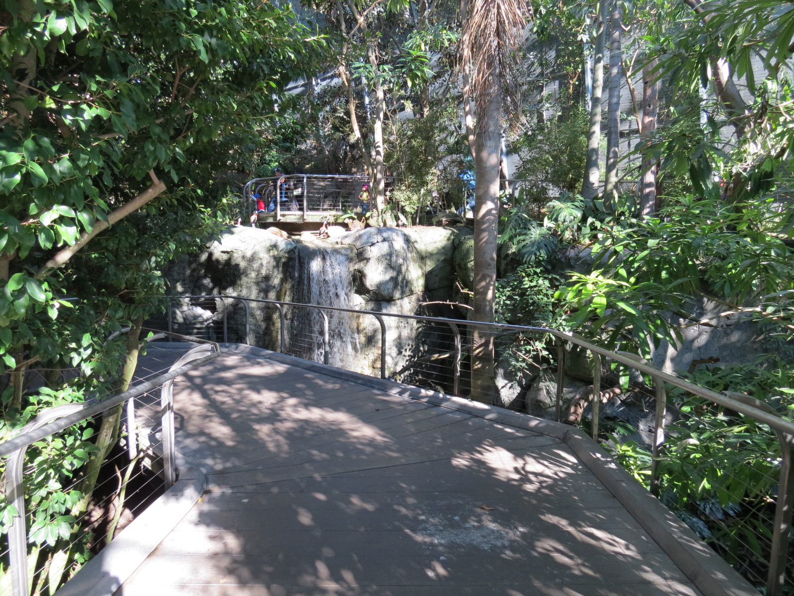 Lost Forest - Gorilla Tropics - Scripps Aviary