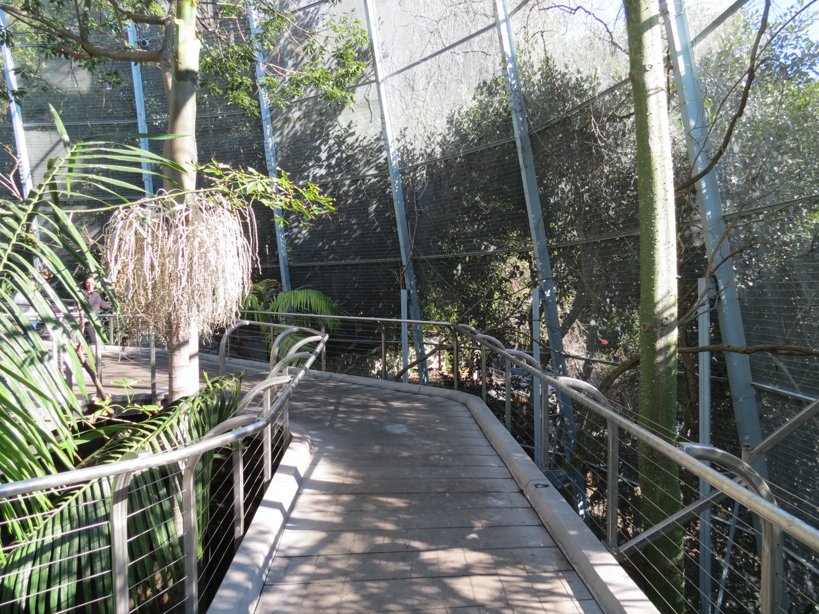 Lost Forest - Gorilla Tropics - Scripps Aviary