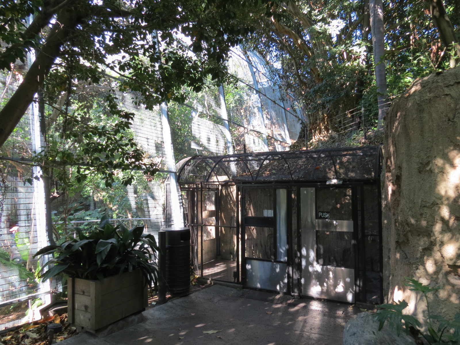 Lost Forest - Gorilla Tropics - Scripps Aviary