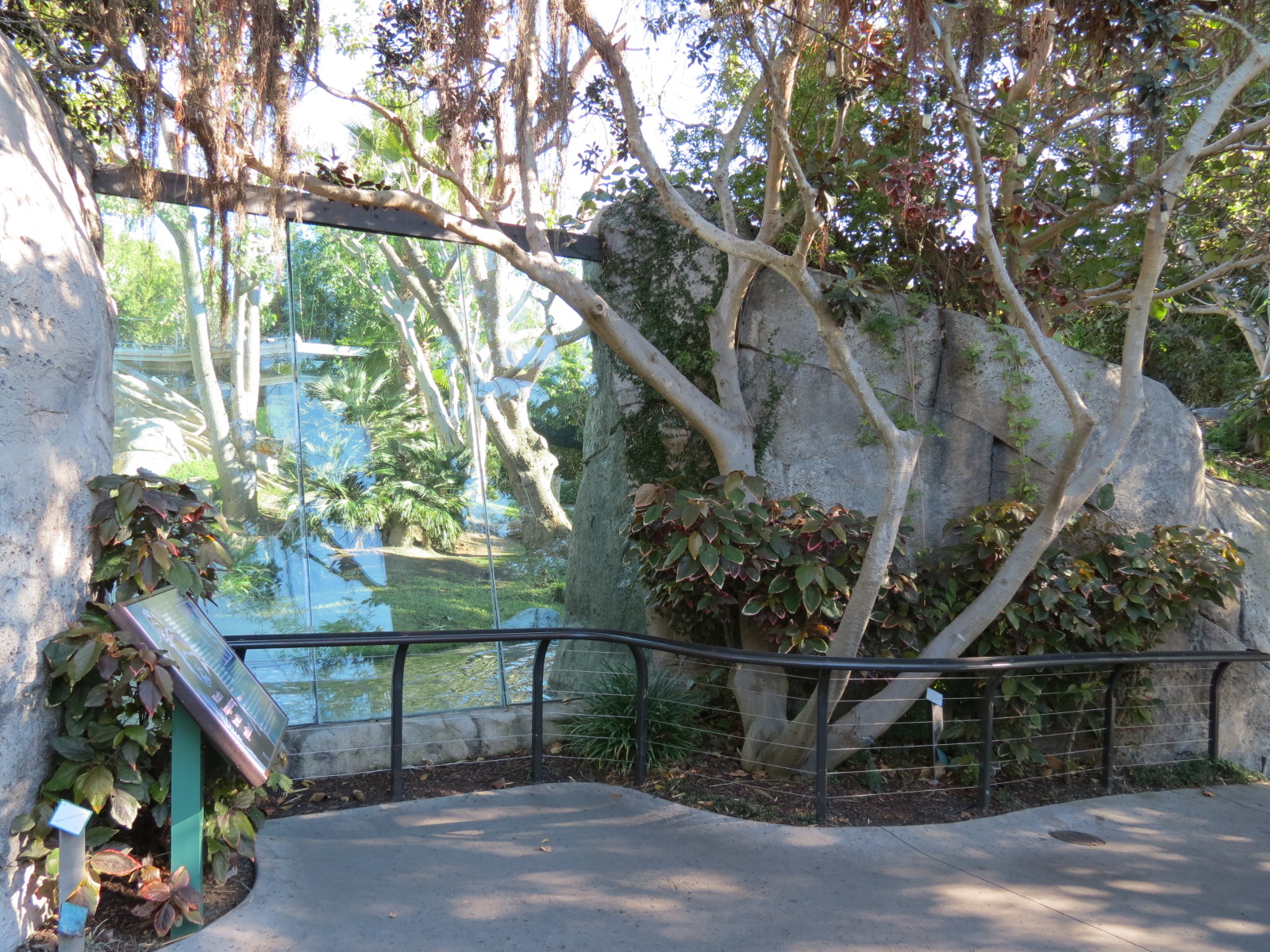 Lost Forest - Gorilla Tropics - Western Lowland Gorilla Exhibit