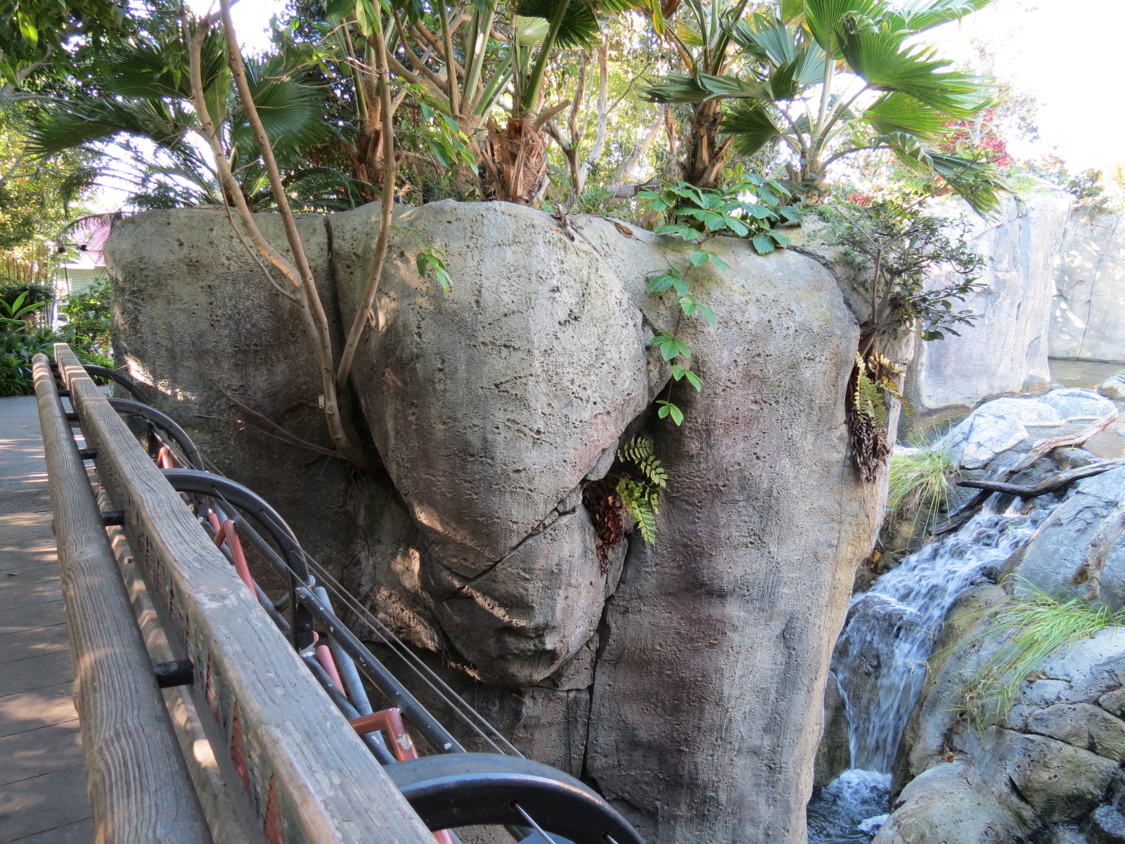 Lost Forest - Gorilla Tropics - Western Lowland Gorilla Exhibit