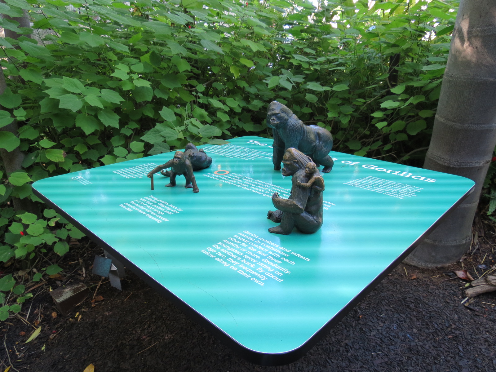 Lost Forest - Gorilla Tropics - Western Lowland Gorilla Exhibit