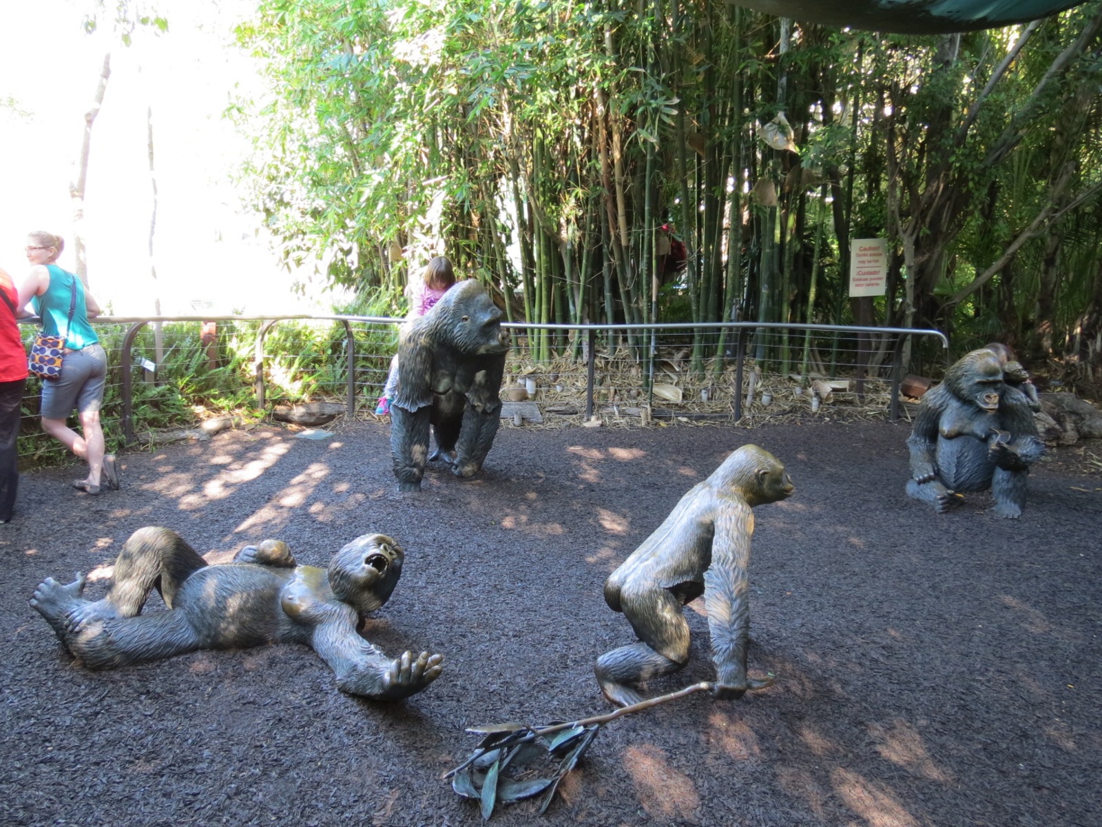 Lost Forest - Gorilla Tropics - Western Lowland Gorilla Exhibit