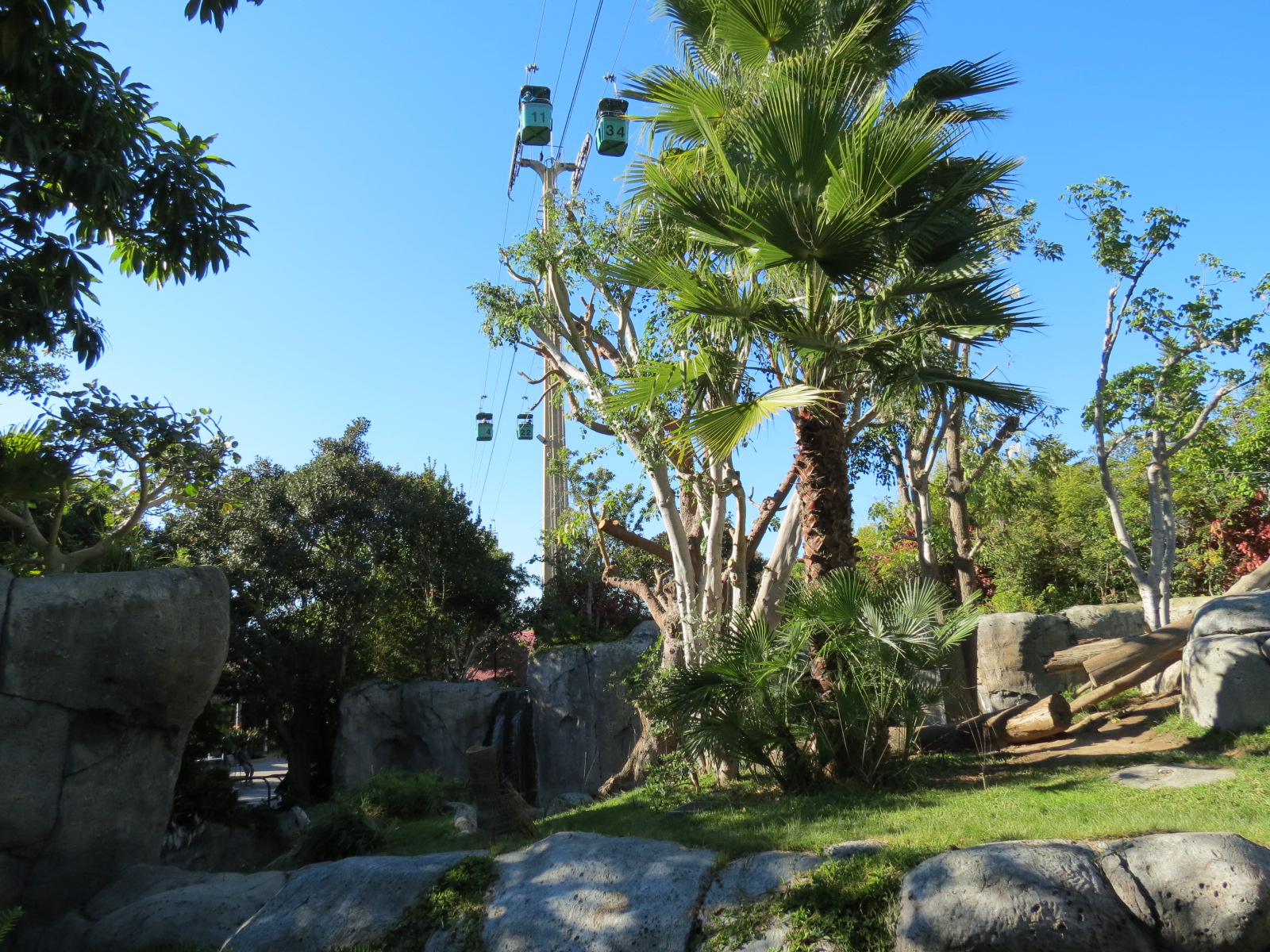 Lost Forest - Gorilla Tropics - Western Lowland Gorilla Exhibit