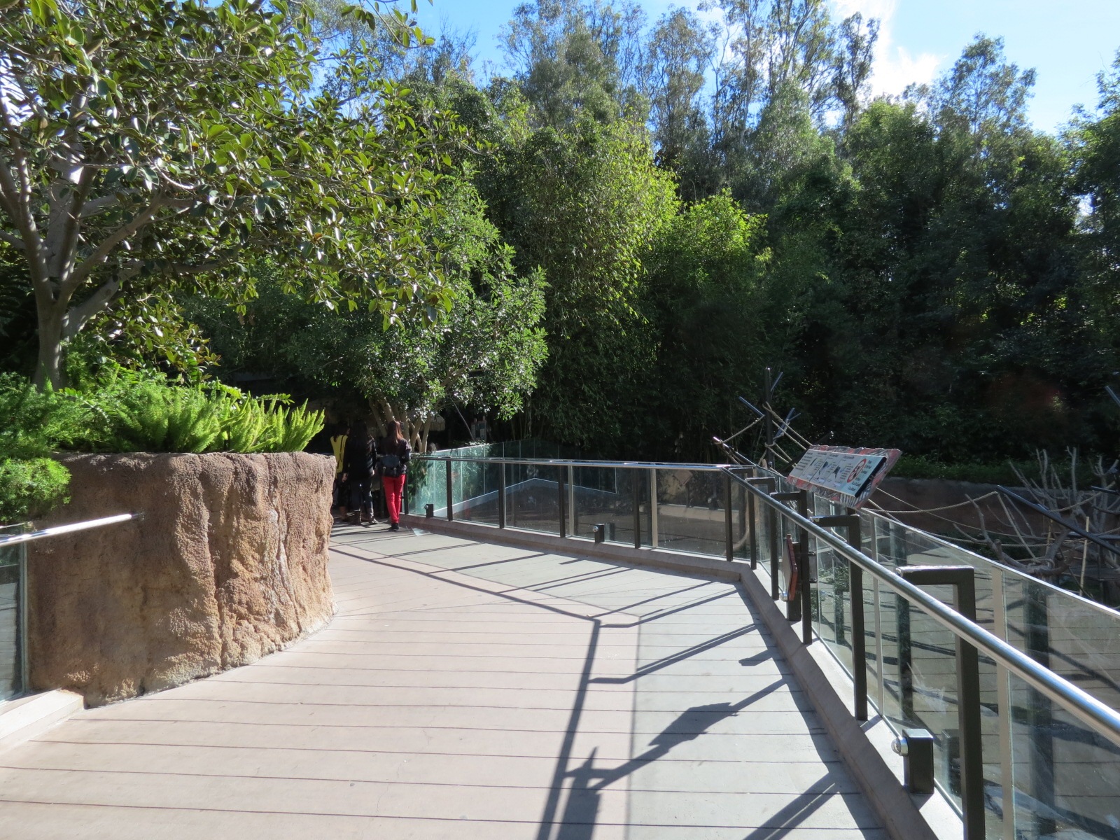 Lost Forest - Ituri Forest - African Spot-necked Otter and Others Exhibit