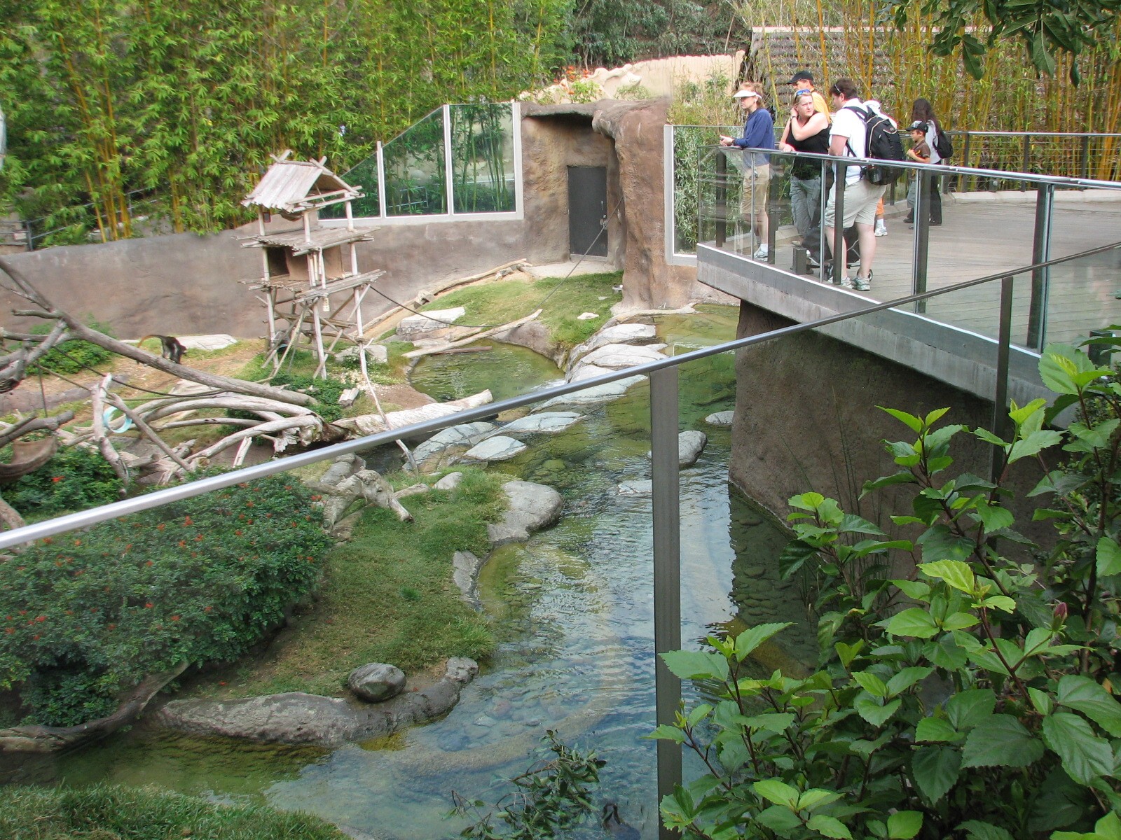 Lost Forest - Ituri Forest - African Spot-Necked Otter, Schmidts Spot-Nosed