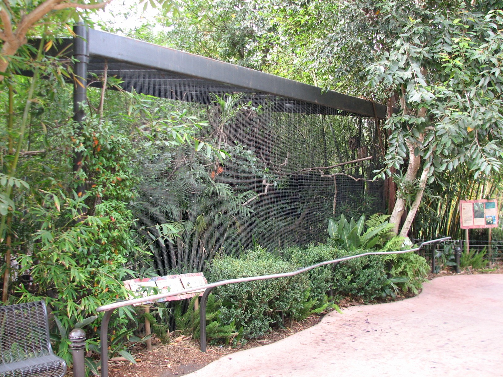 Lost Forest - Ituri Forest - Aviary