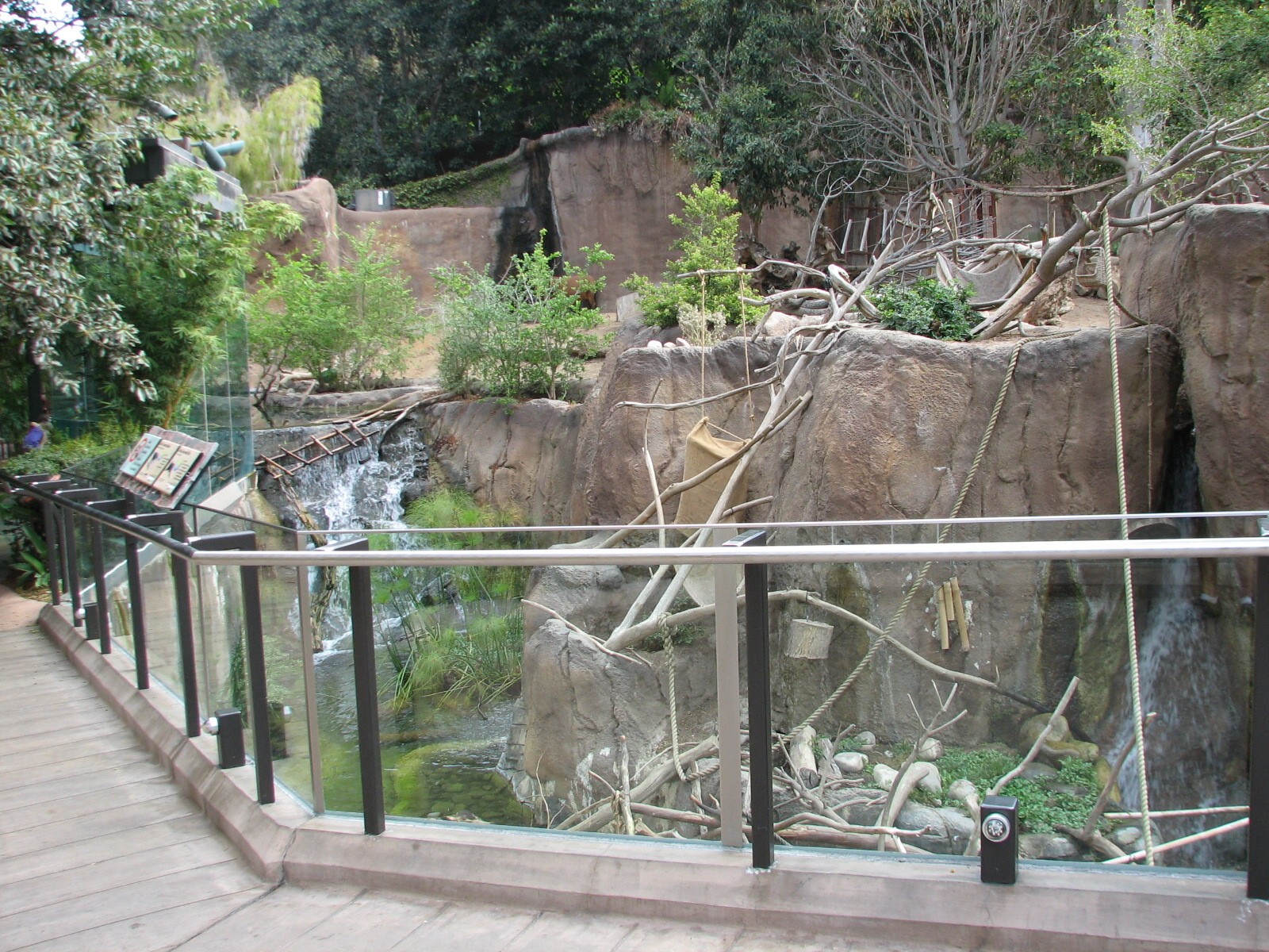 Lost Forest - Ituri Forest - Elevated Walkway