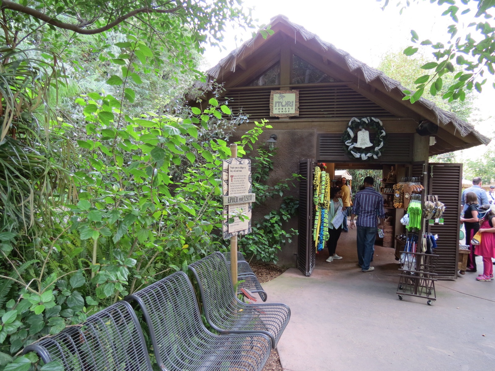 Lost Forest - Ituri Forest - Epulu Village