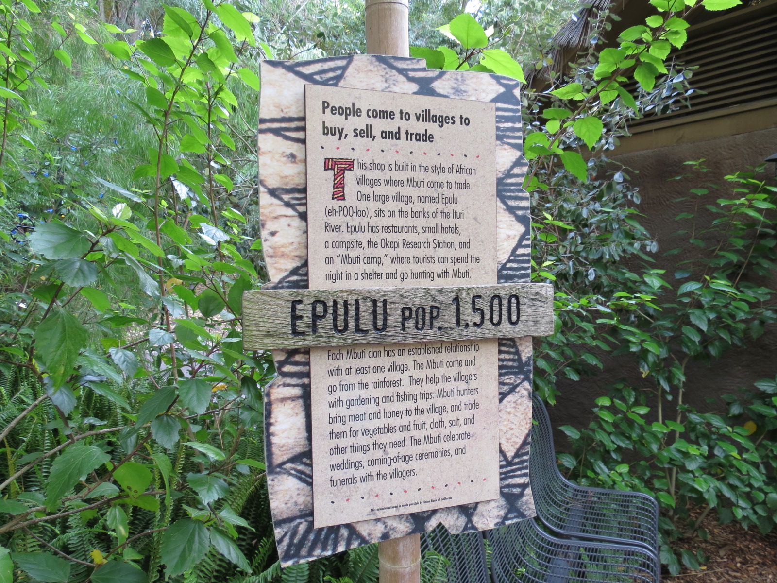 Lost Forest - Ituri Forest - Epulu Village