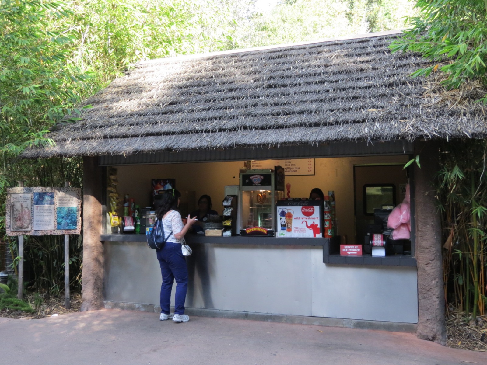 Lost Forest - Ituri Forest - Epulu Village