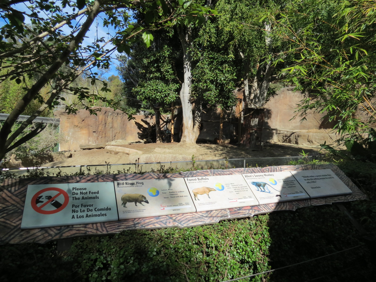 Lost Forest - Ituri Forest - Forest Buffalo and Others Exhibit