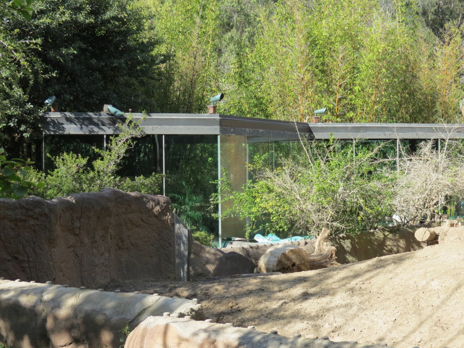 Lost Forest - Ituri Forest - Forest Buffalo and Others Exhibit