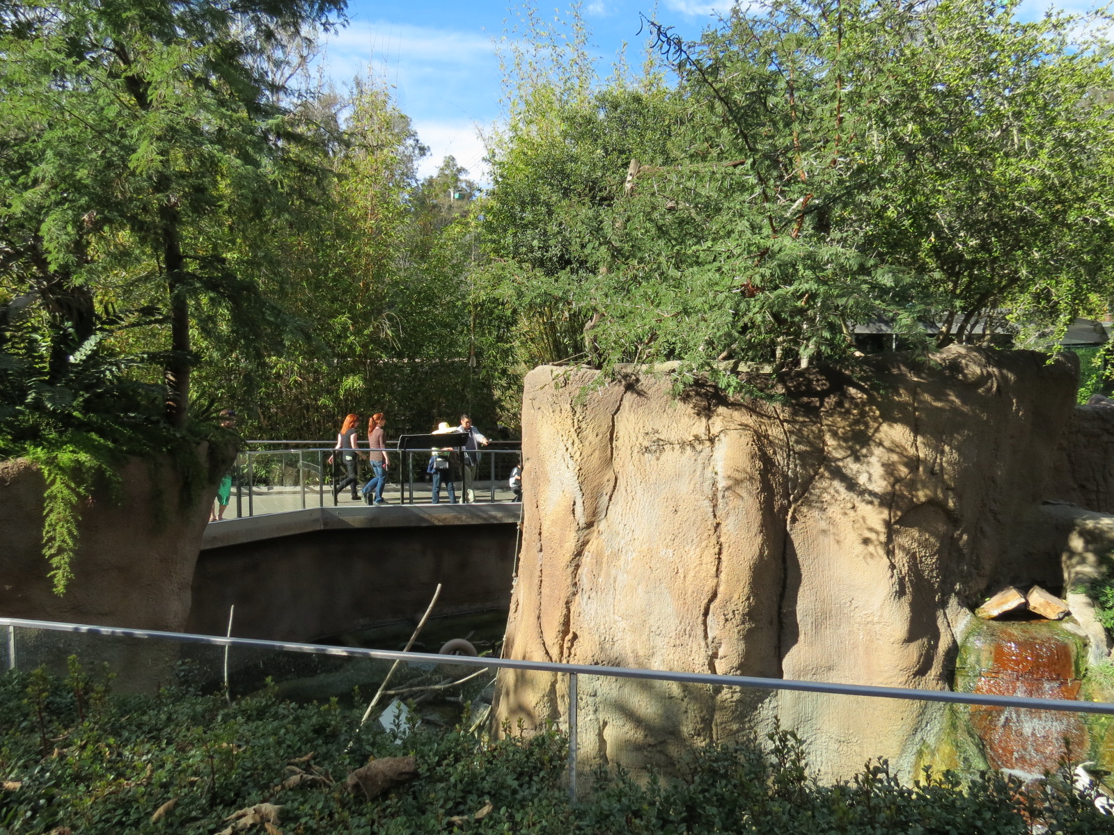 Lost Forest - Ituri Forest - Forest Buffalo and Others Exhibit