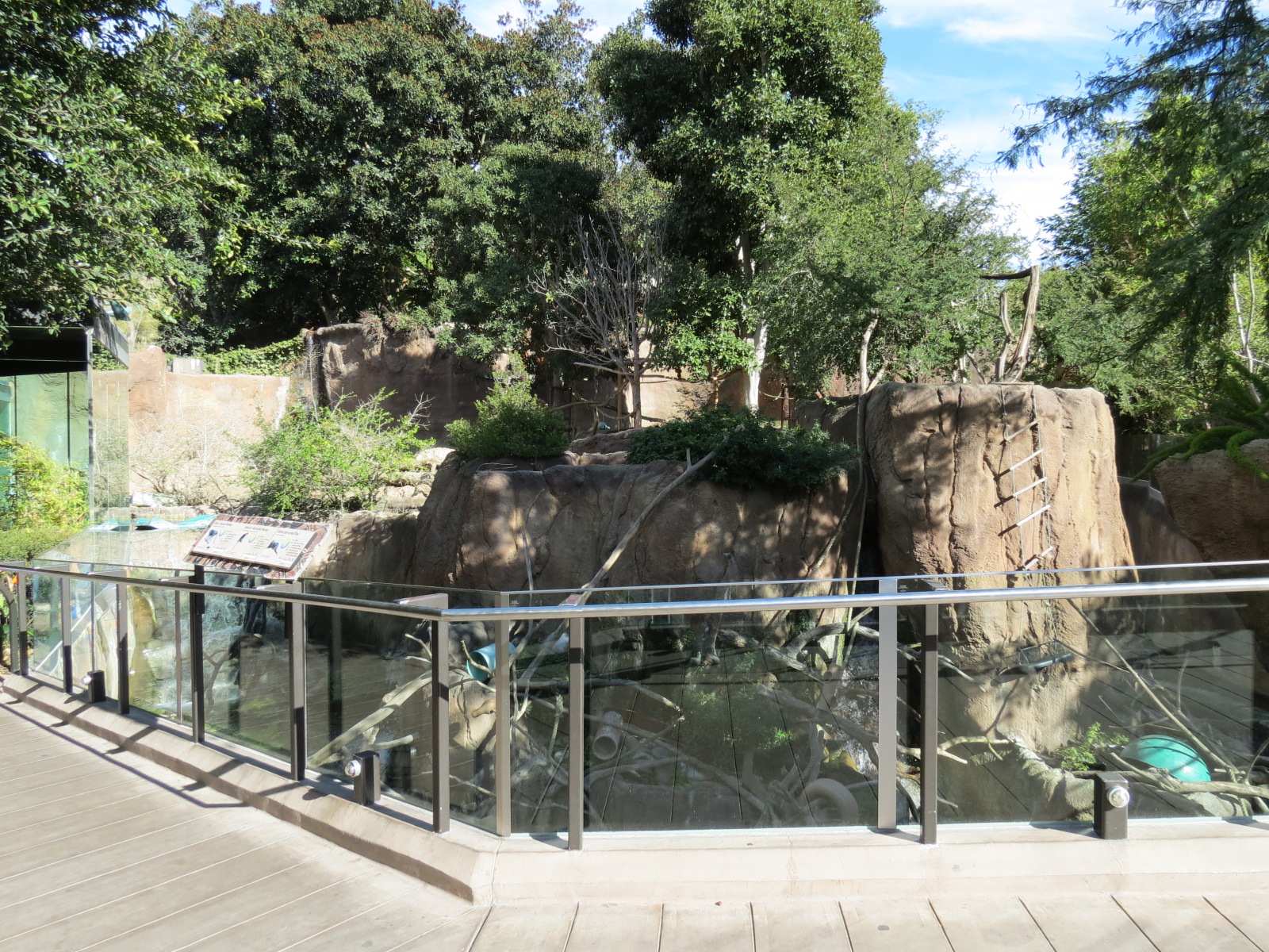 Lost Forest - Ituri Forest - Forest Buffalo and Others Exhibit