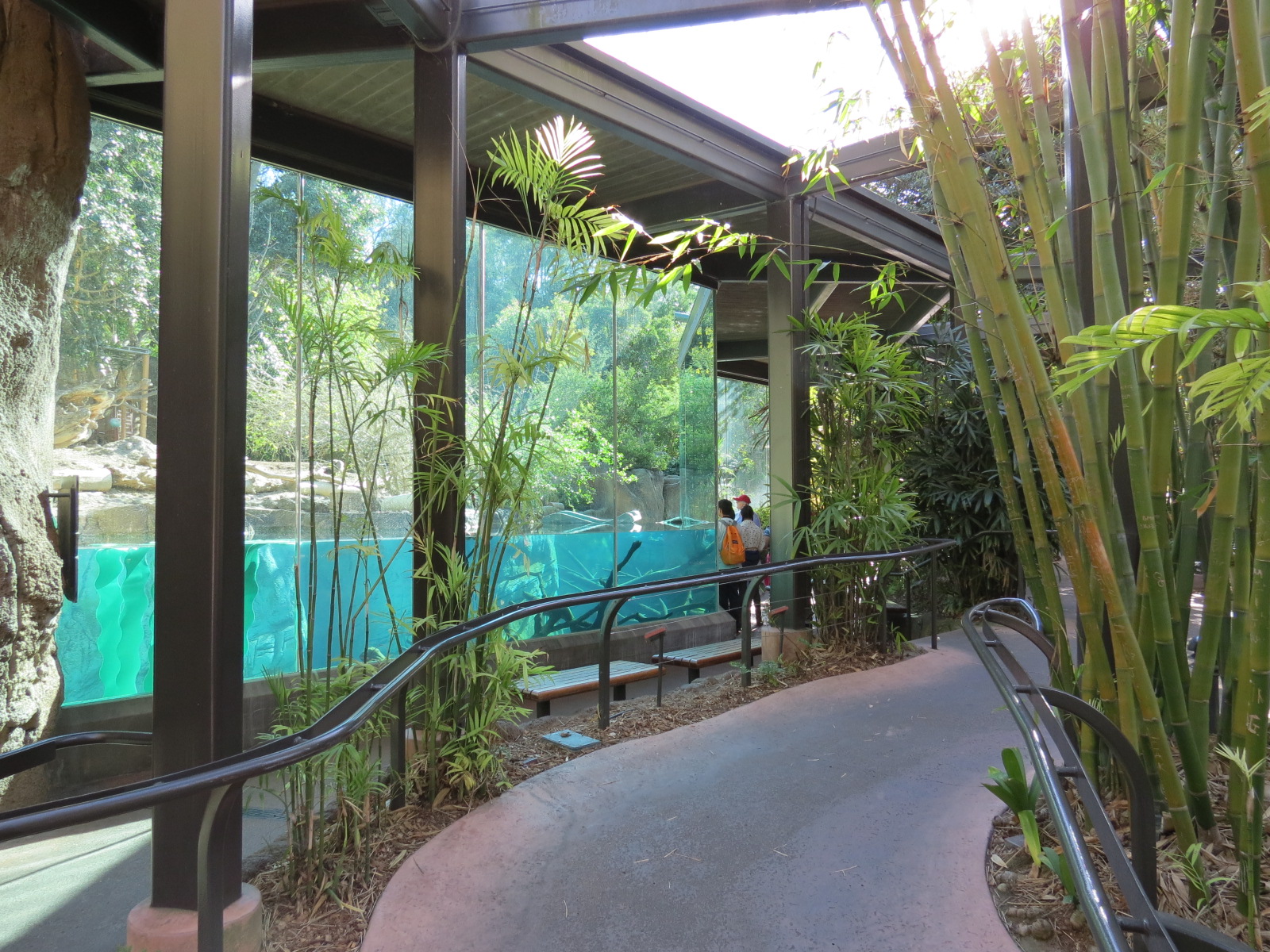 Lost Forest - Ituri Forest - Forest Buffalo and Others Exhibit