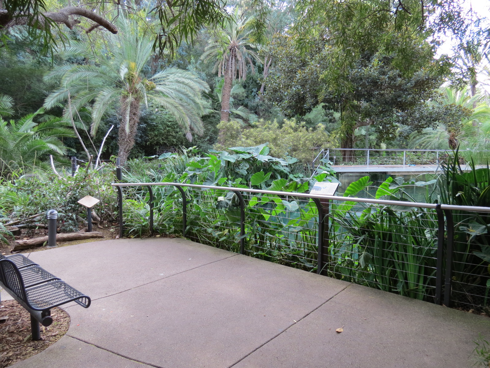 Lost Forest - Ituri Forest - Hippopotamus Exhibit