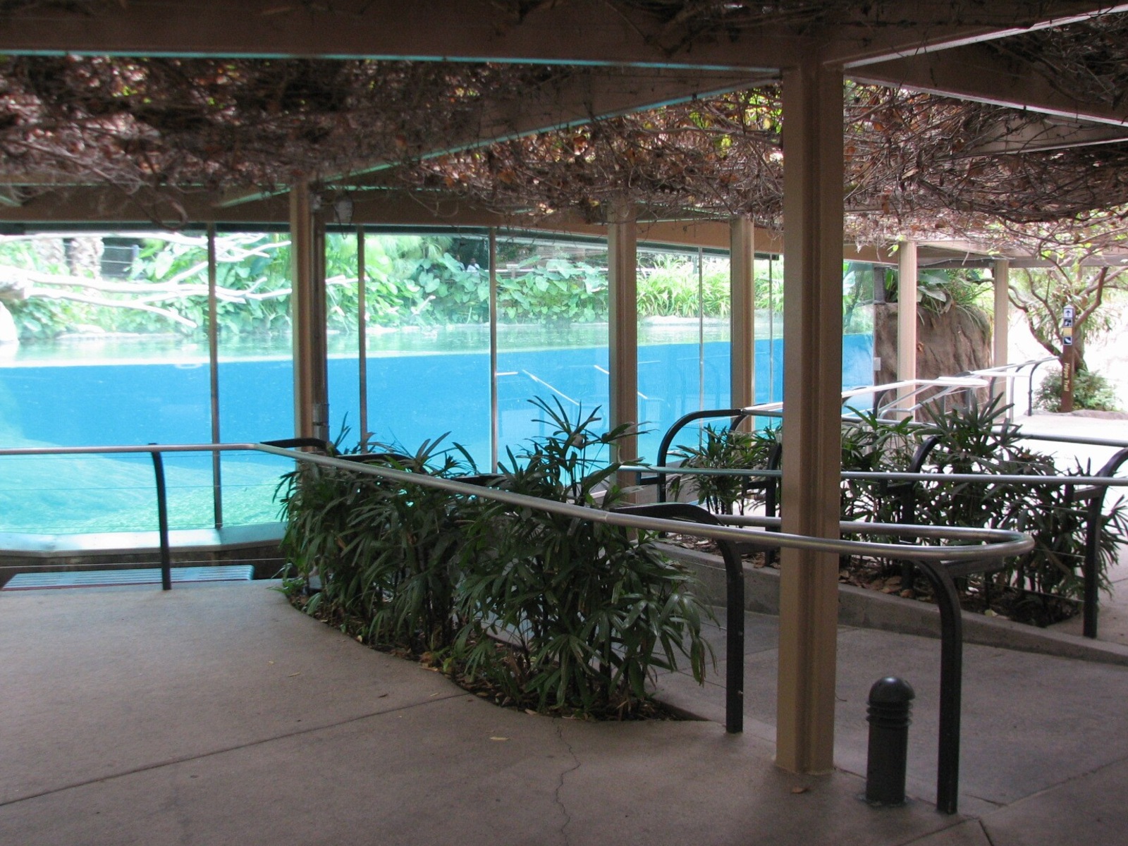 Lost Forest - Ituri Forest - Hippopotamus Exhibit