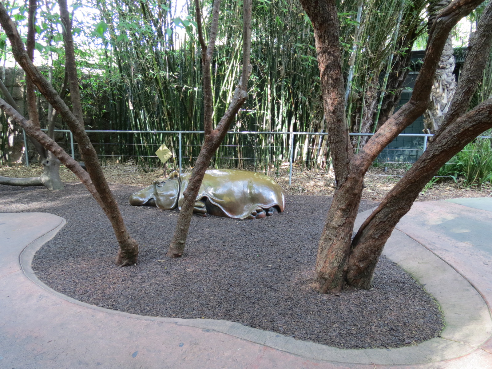 Lost Forest - Ituri Forest - Hippopotamus Play Area