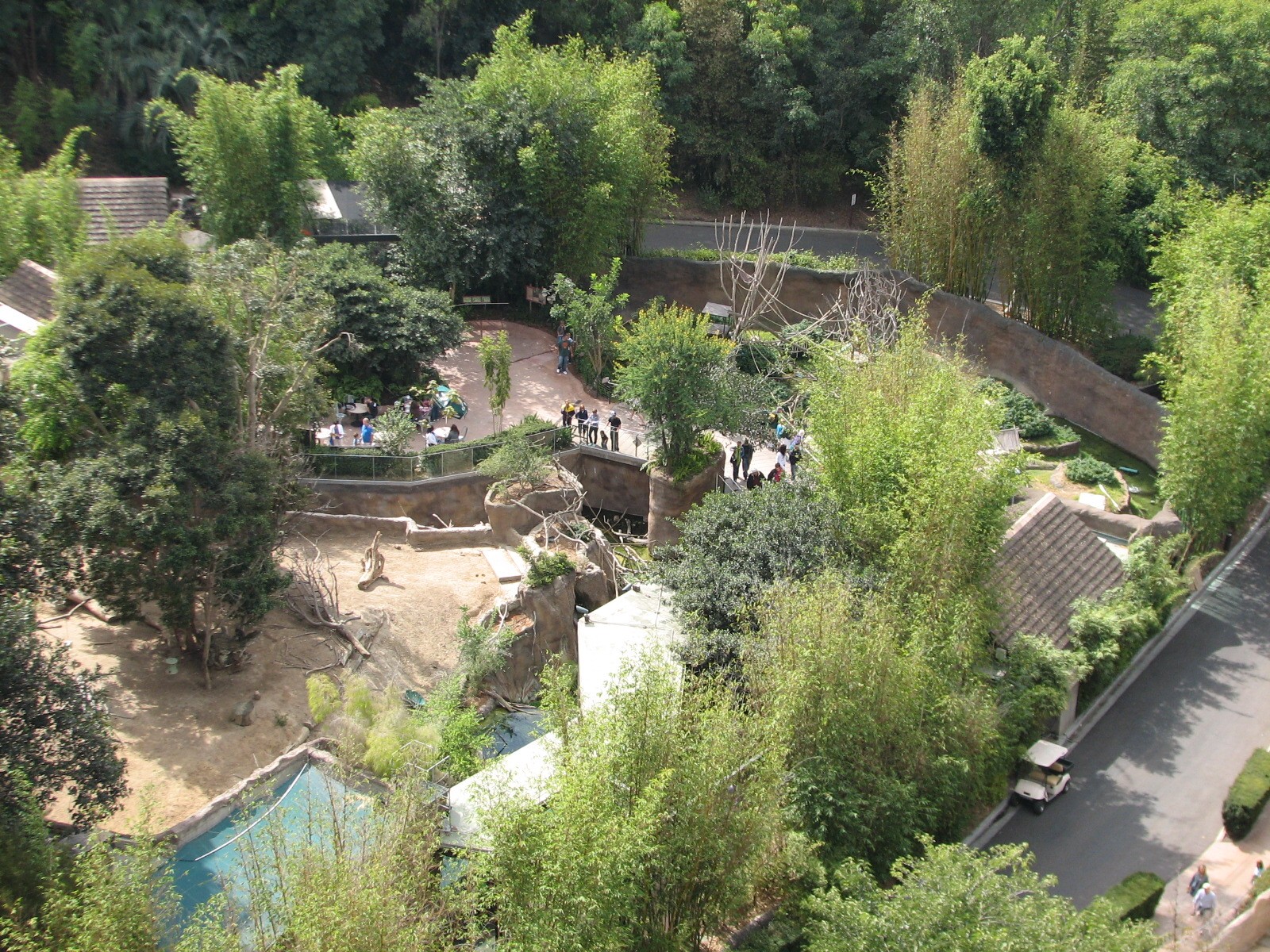 Lost Forest - Ituri Forest - Overview